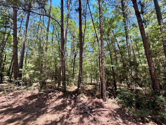 Lot 19 Bh Caroll Street, Trinity, TX 75862