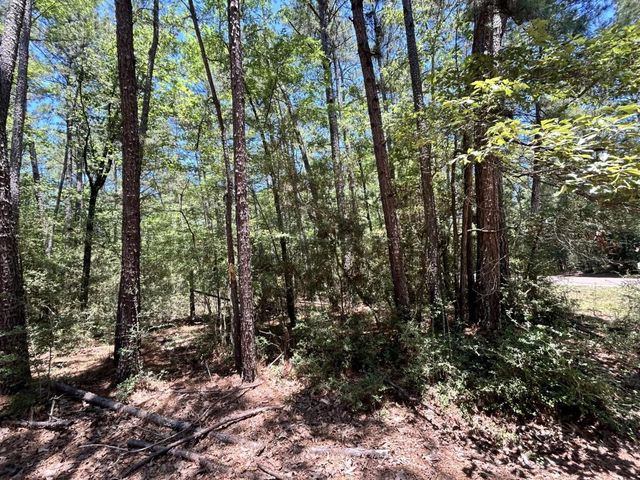 Lot 19 Bh Caroll Street, Trinity, TX 75862