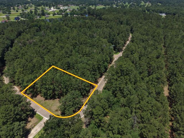 Lot 19 Bh Caroll Street, Trinity, TX 75862