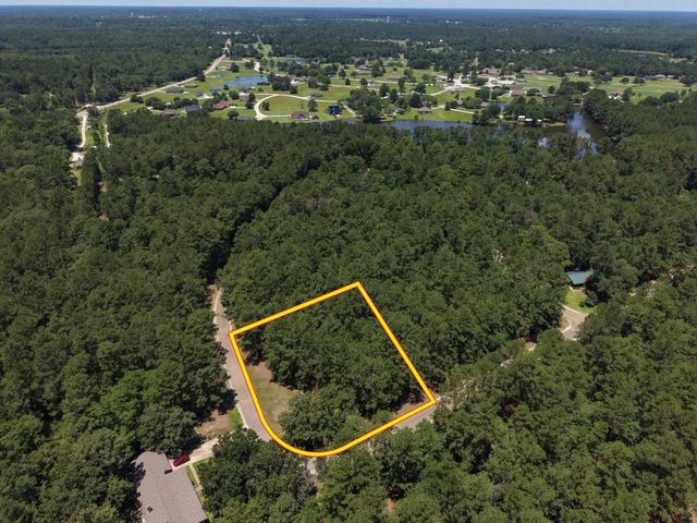 Lot 19 Bh Caroll Street, Trinity, TX 75862