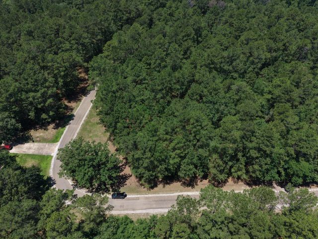 Lot 19 Bh Caroll Street, Trinity, TX 75862