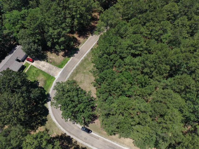 Lot 19 Bh Caroll Street, Trinity, TX 75862