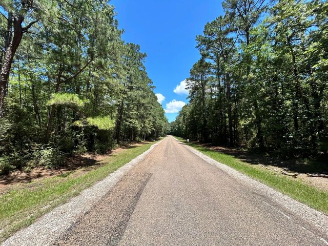 Lot 19 Bh Caroll Street, Trinity, TX 75862
