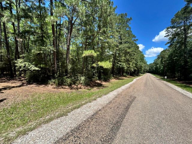 Lot 19 Bh Caroll Street, Trinity, TX 75862