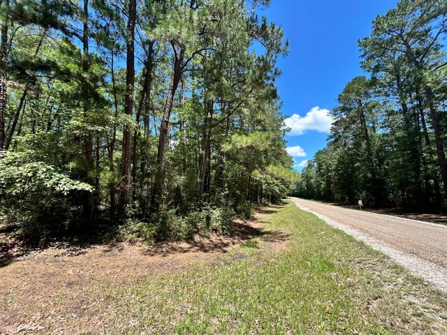 Lot 19 Bh Caroll Street, Trinity, TX 75862