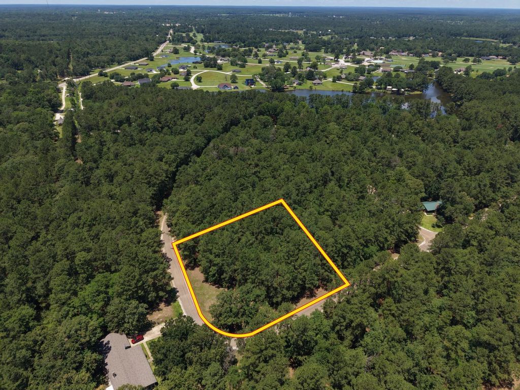 Lot 19 Bh Caroll Street, Trinity, TX 75862