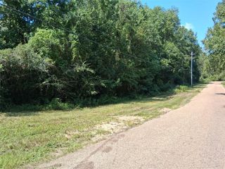 00000 Alma Drive, Wilmer, AL 36687