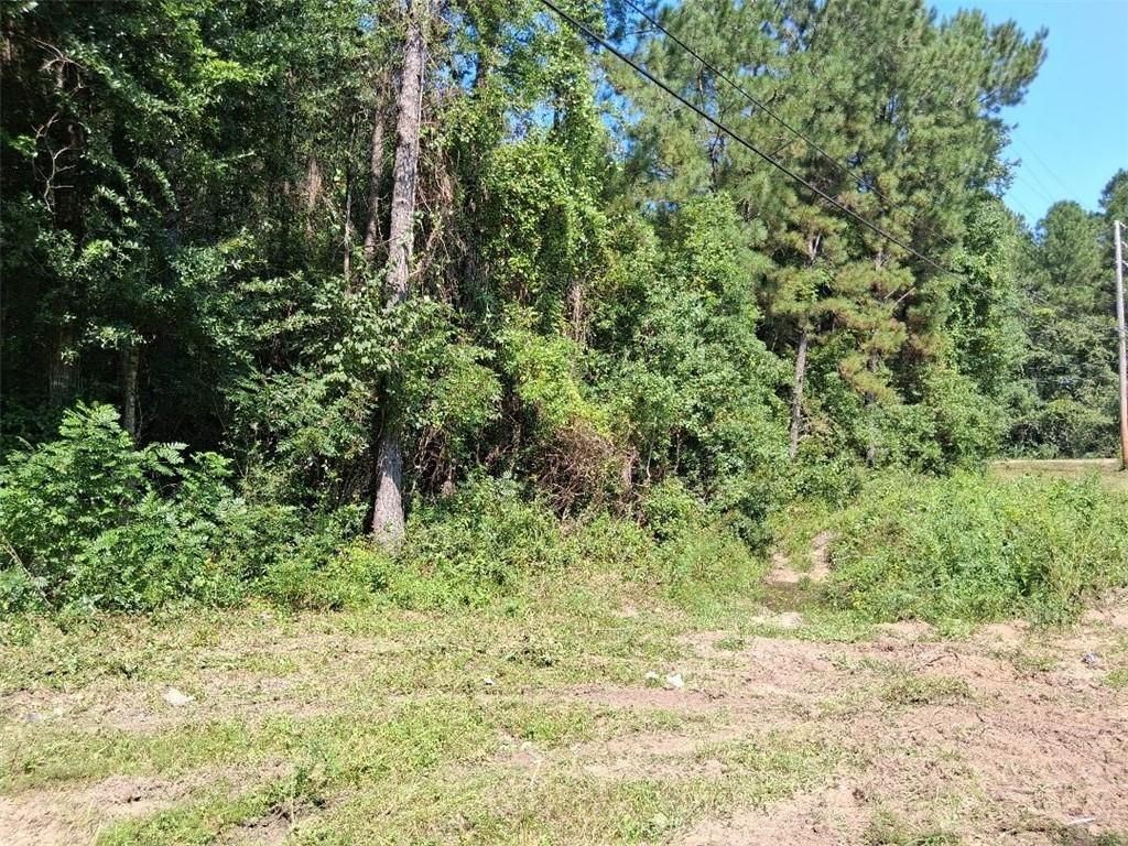 0 Alma Drive, Wilmer, AL 36687 — photo 2