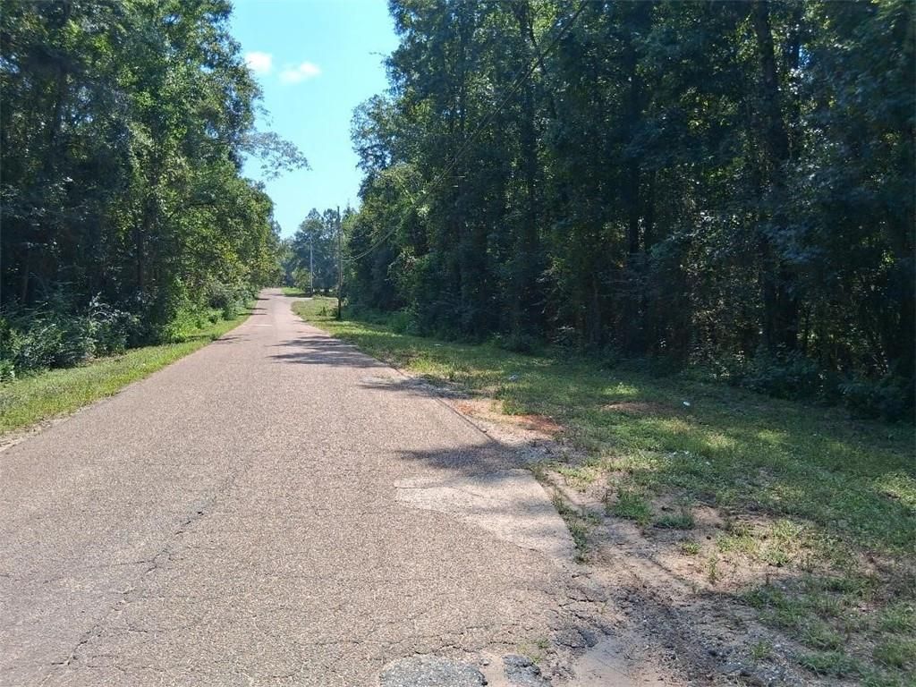 0 Alma Drive, Wilmer, AL 36687 — photo 4