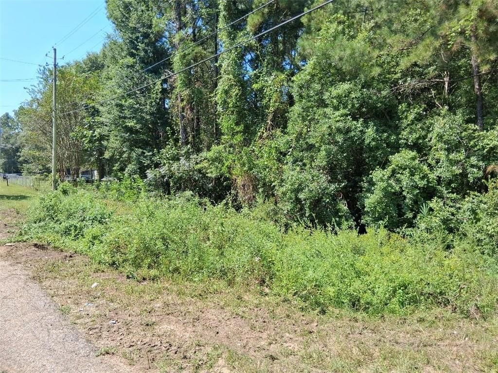 0 Alma Drive, Wilmer, AL 36687 — photo 5