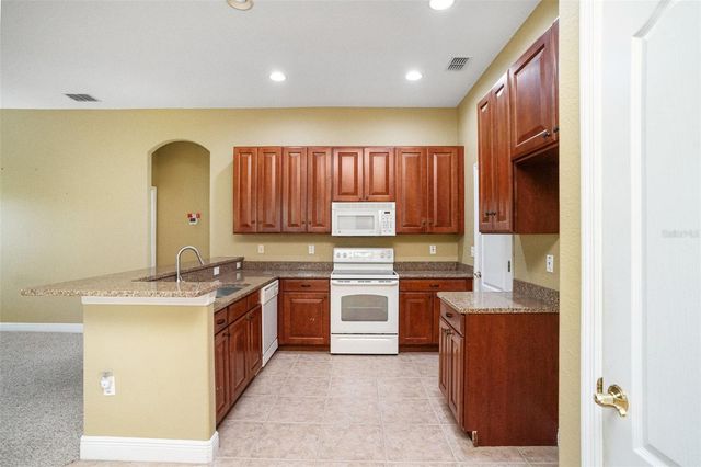 9916 CLEGHORN DRIVE, San Antonio, FL 33576