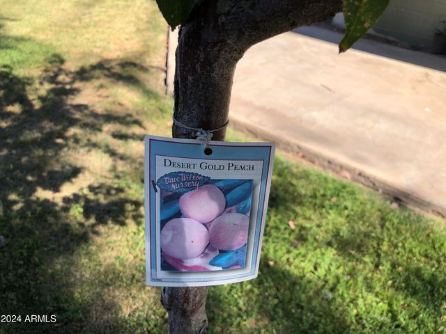 2020 S GRANADA Drive 4, Tempe, AZ 85282