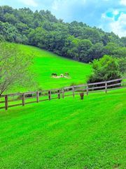 1220 Normandy Rd, Normandy, TN 37360
