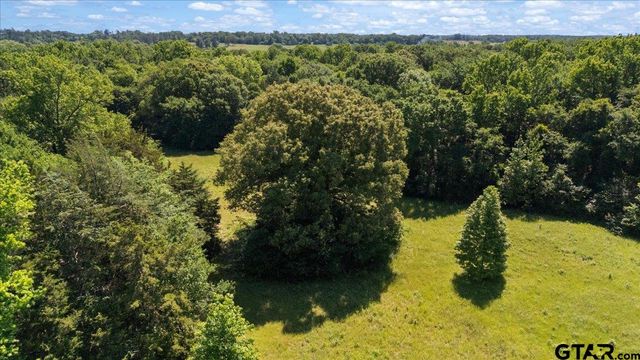 279 County Road 2395, Winnsboro, TX 75494