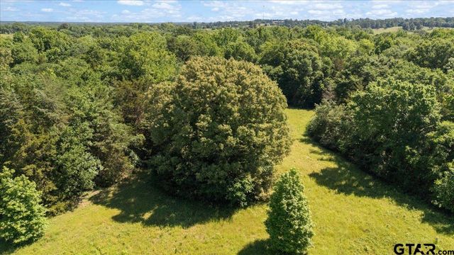 279 County Road 2395, Winnsboro, TX 75494