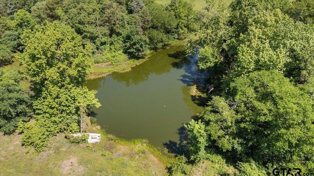 279 County Road 2395, Winnsboro, TX 75494