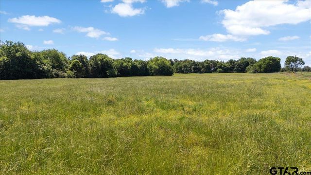 279 County Road 2395, Winnsboro, TX 75494