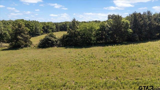 279 County Road 2395, Winnsboro, TX 75494