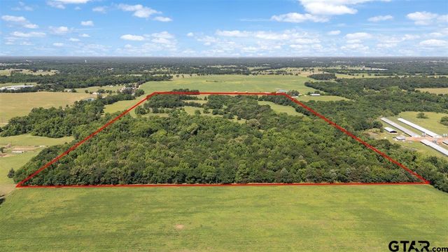 279 County Road 2395, Winnsboro, TX 75494