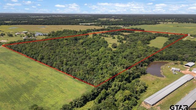 279 County Road 2395, Winnsboro, TX 75494