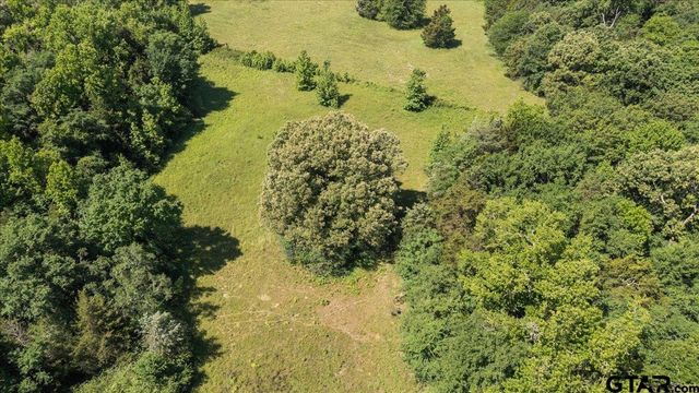 279 County Road 2395, Winnsboro, TX 75494