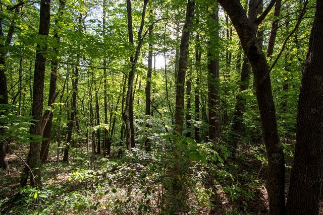 Lot 36 Mountain Top Road, Marble, NC 28905