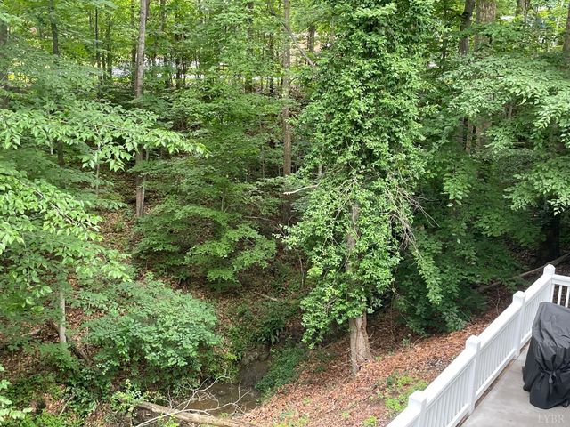 356 Juniper Drive, Lynchburg, VA 24502