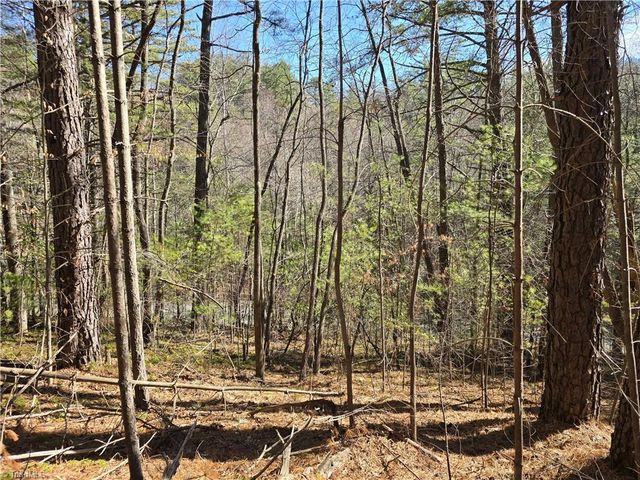 TBD Timber Ridge Road, Millers Creek, NC 28651