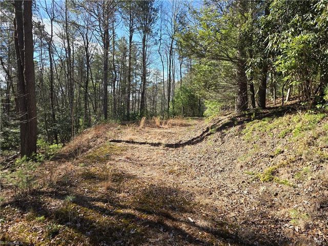 TBD Timber Ridge Road, Millers Creek, NC 28651