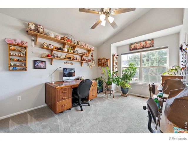 246 Habitat Circle, Windsor, CO 80550