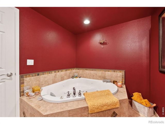 246 Habitat Circle, Windsor, CO 80550