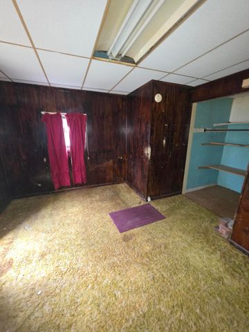 113 W Walnut Street, Albion Twp, MI 49224