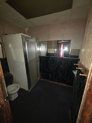 113 W Walnut Street, Albion Twp, MI 49224