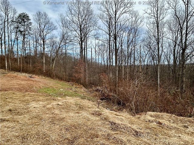 14790 McLane Pike, Liberty, WV 25124