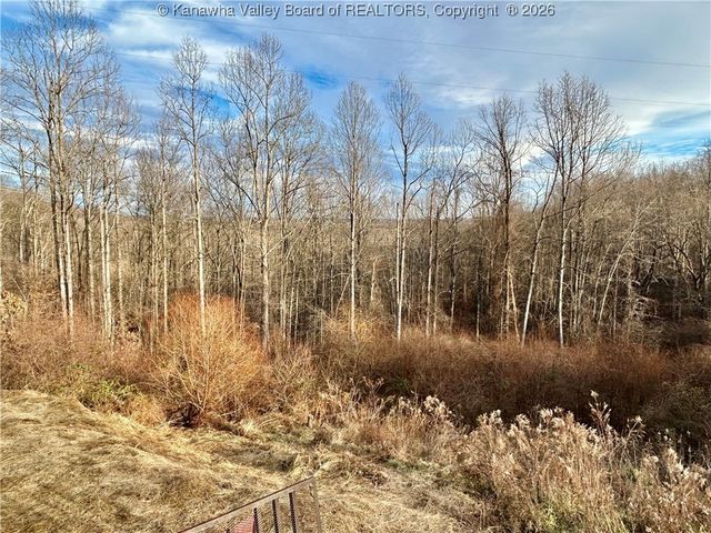 14790 McLane Pike, Liberty, WV 25124