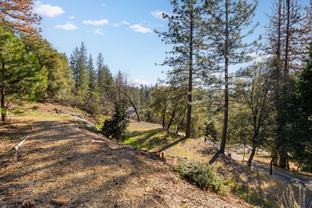 20977 Birchwood Dr, Foresthill, CA 95631