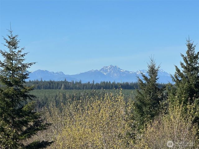 0 TR 1&2 E Agate Road, Shelton, WA 98584