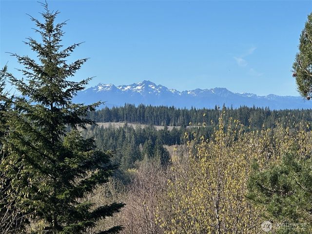0 TR 1&2 E Agate Road, Shelton, WA 98584