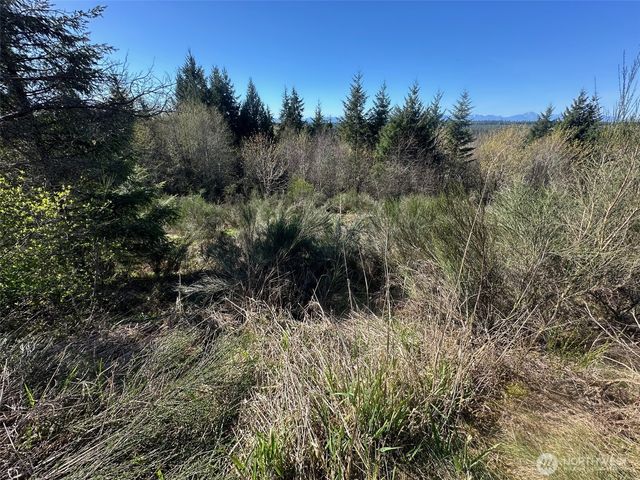 0 TR 1&2 E Agate Road, Shelton, WA 98584