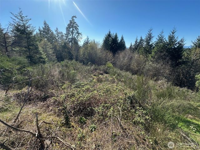 0 TR 1&2 E Agate Road, Shelton, WA 98584
