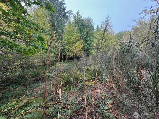 0 TR 1&2 E Agate Road, Shelton, WA 98584