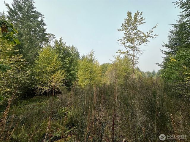 0 TR 1&2 E Agate Road, Shelton, WA 98584