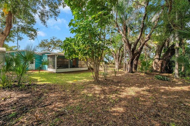 717 CAROLINA AVENUE, Tarpon Springs, FL 34689