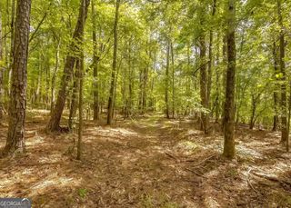 1251 Crumbley Road, Mcdonough, GA 30252