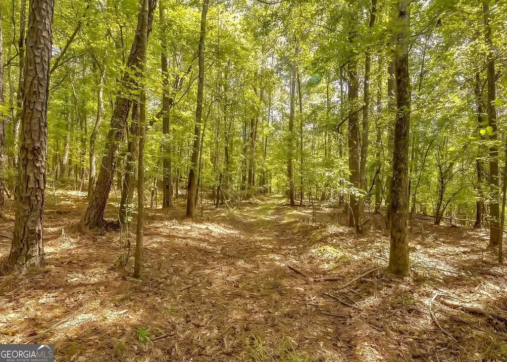 1251 Crumbley Road, Mcdonough, GA 30252