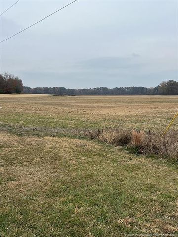 Lot 3 NC 710 N Highway, Red Springs, NC 28377