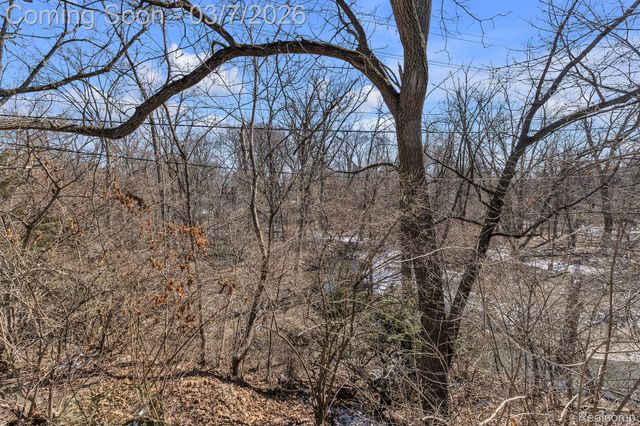 16302 Alpine Drive, Livonia, MI 48154