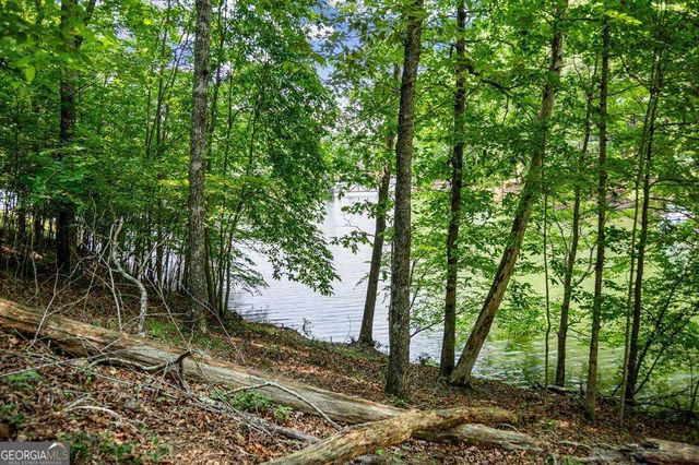 LOT 25 Talon Trace, Blairsville, GA 30512
