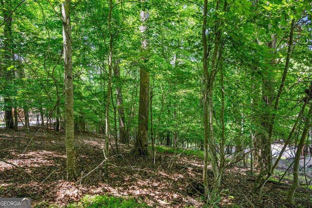 LOT 25 Talon Trace, Blairsville, GA 30512