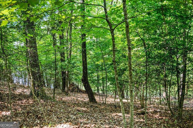 LOT 25 Talon Trace, Blairsville, GA 30512